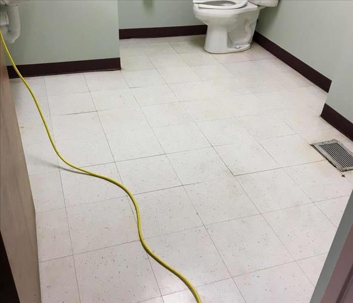 clean bathroom floor and toilet