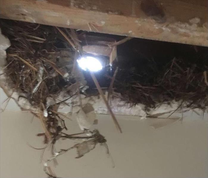 storm damage coming through ceiling