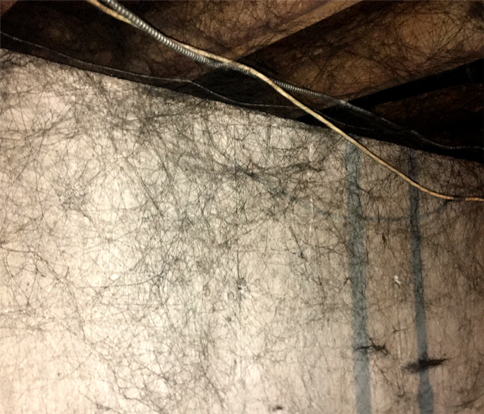 blackened cobwebs in basement from a furnace puffback