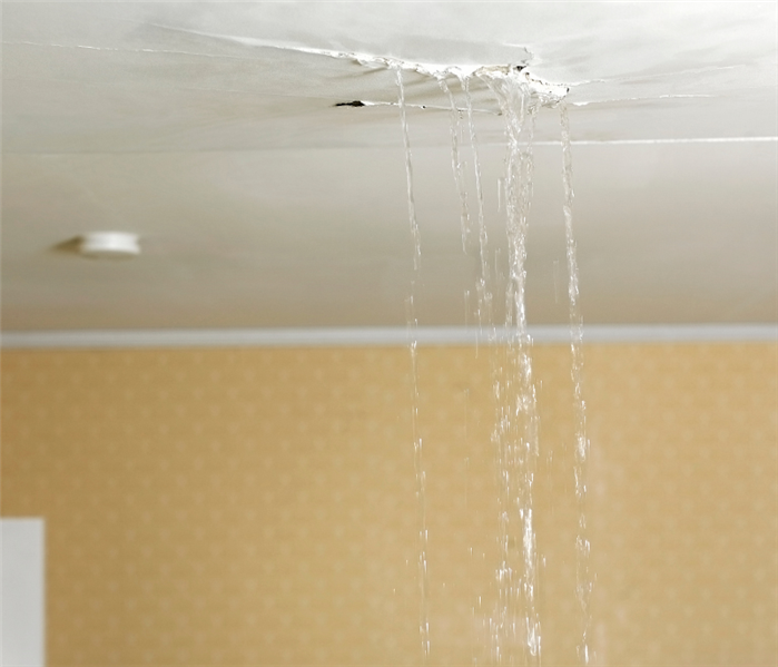 Ice dam water damage repair near me in Guilford, CT.