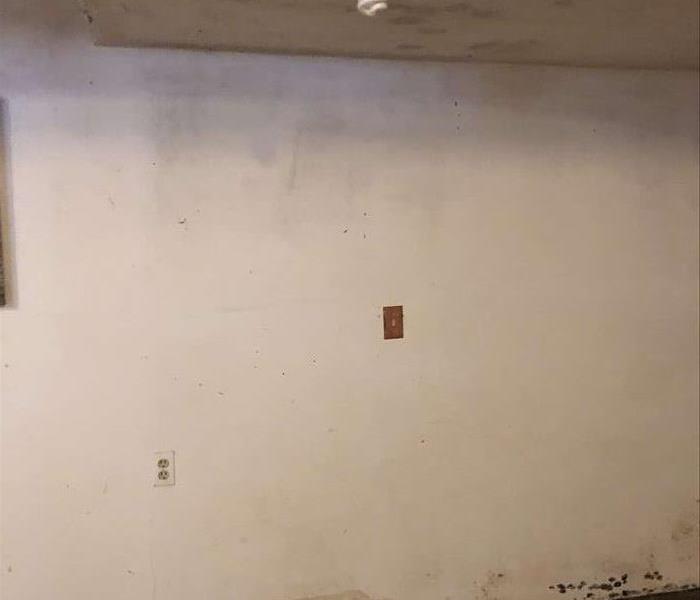 unfinished basement with ceiling, wall and floor with lite bulb on ceiling and mold on the floor, ceiling and wall