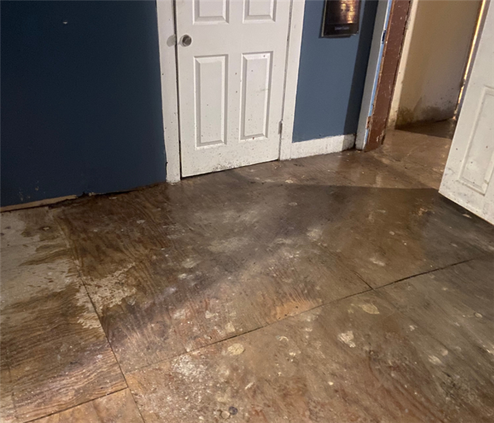 Clogged Gutters Water Damage Repair Near Me in Branford, CT
