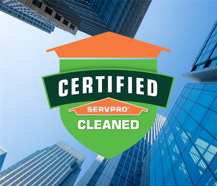 commercial disinfection service east haven, ct near me