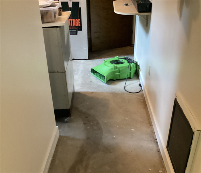 How to Prevent Sewage Backups Near Me in Guilford, CT