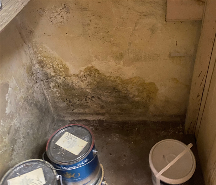 Basement Mold Removal Near Me in Northford, CT