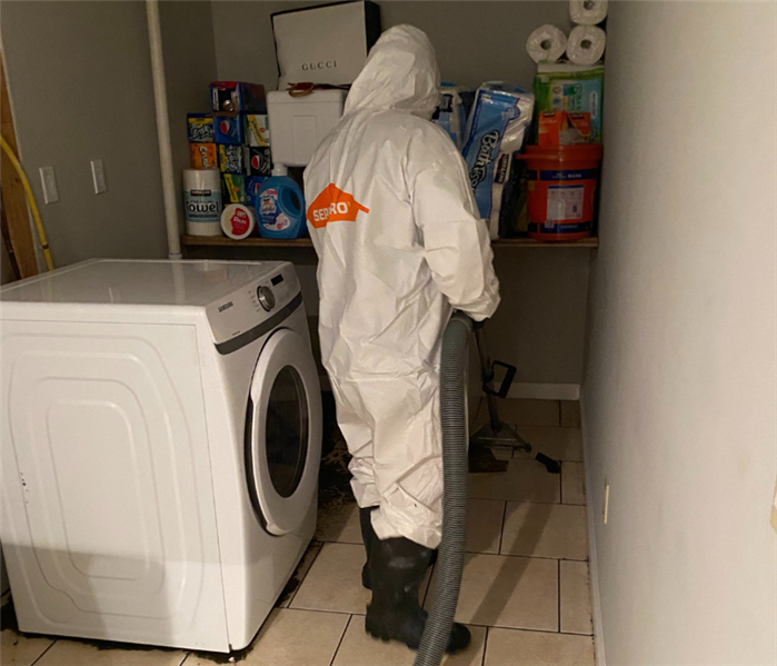 Sewage Backup Cleaning Near Me in Northford, CT