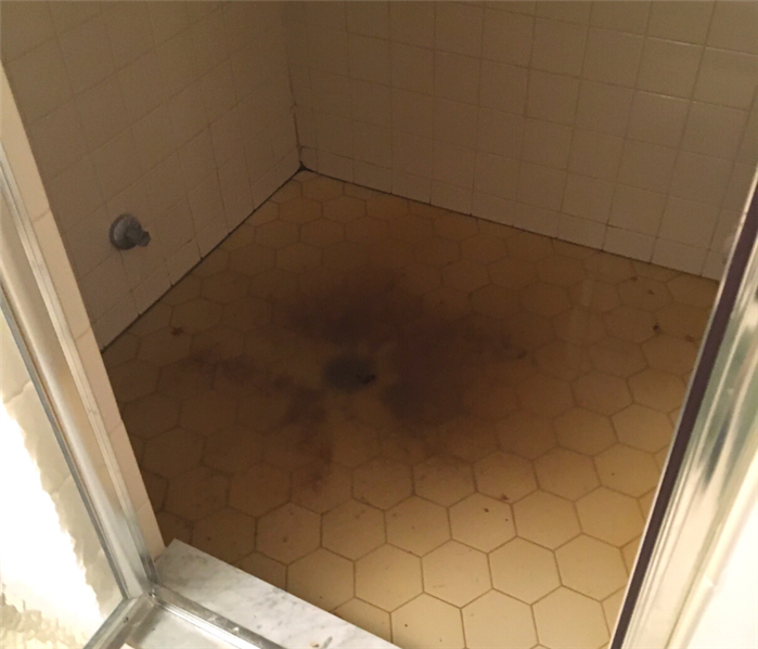 Sewage backup cleaning near me in Guilford, CT.