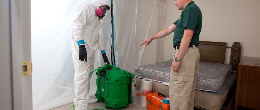 Branford, CT mold removal process